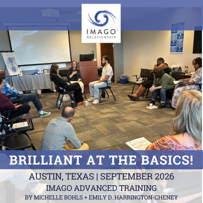 Imago-Website-Memes-4-x-4-in